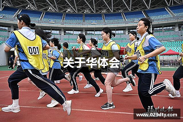 关于华体会